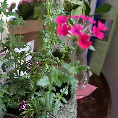 Agnes Vintage Home هانوفر المظهر الخارجي الصورة